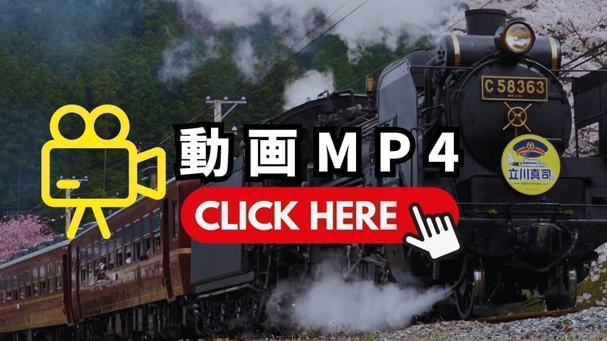 秩父鉄道SLパレオ立川真司号運転動画