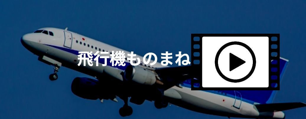 飛行機動画写真